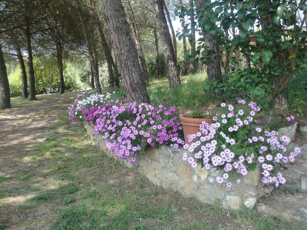 Il Moreto Casale Marittimo