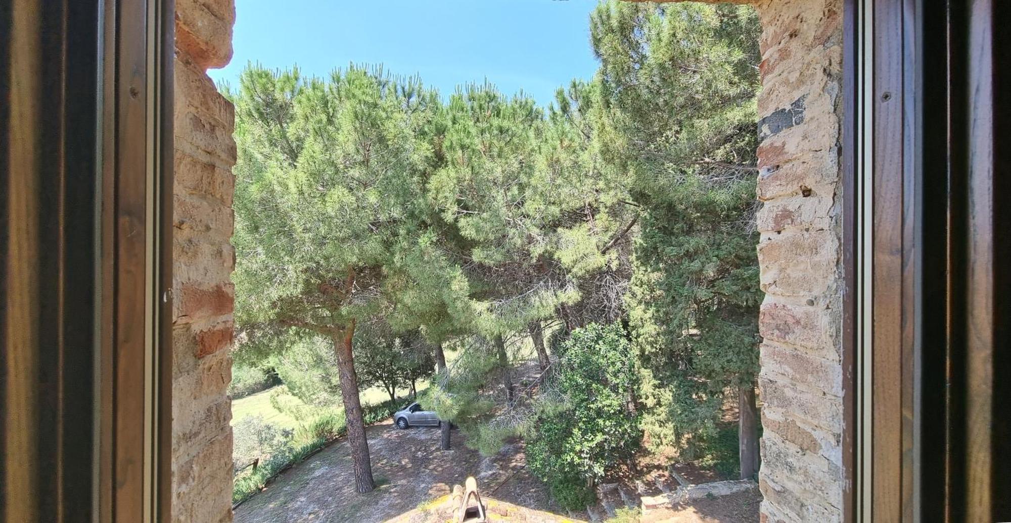Apartment Il Moreto