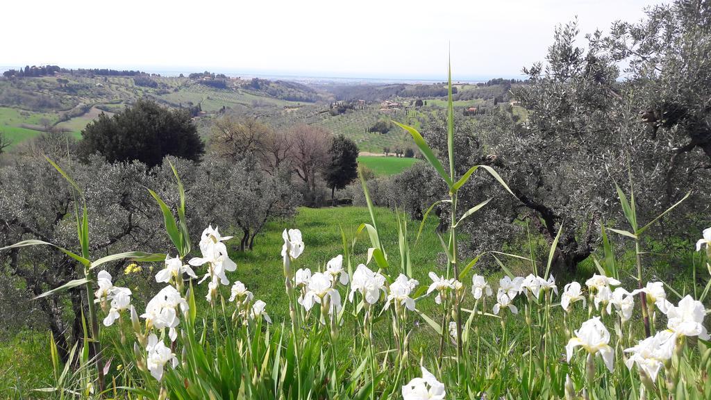 Il Moreto Casale Marittimo