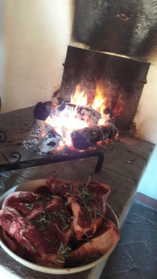 Appartement Il Moreto Casale Marittimo