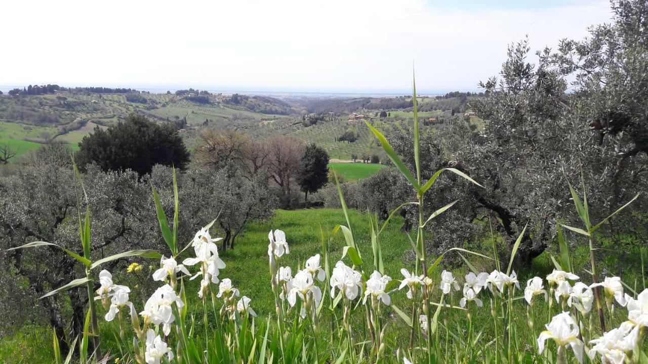 Il Moreto Appartement *