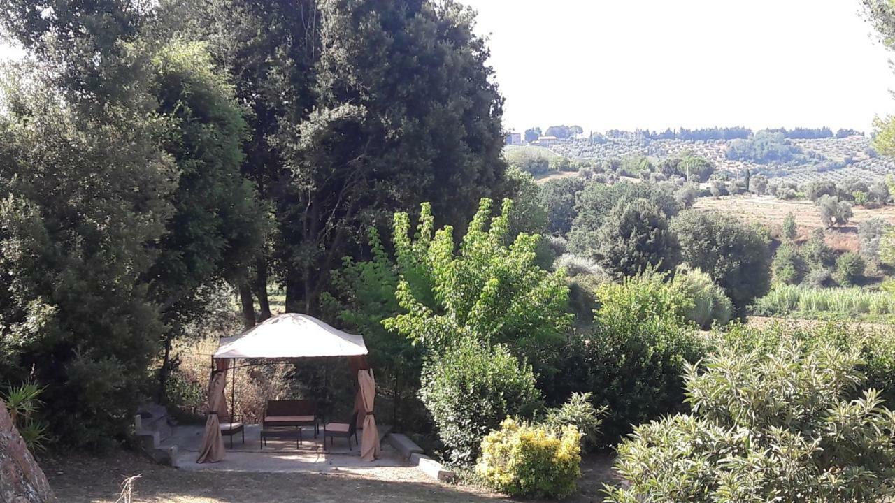 Il Moreto * Casale Marittimo