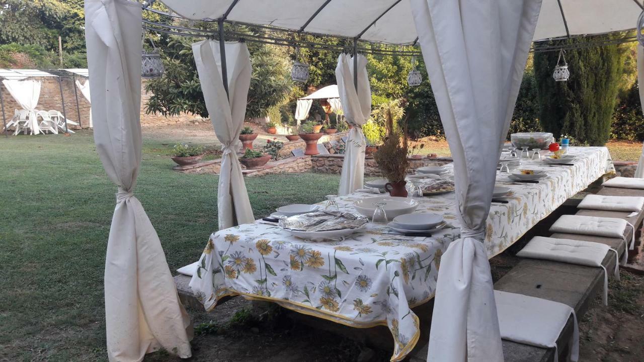 Il Moreto * Casale Marittimo